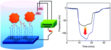 Graphical abstract: Tunable, dynamic and electrically stimulated lectinâcarbohydrate recognition on a glycan-grafted conjugated polymer